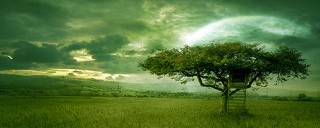 Golden Dream Dizorb dot com