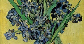 gogh 0125 www nebulos net